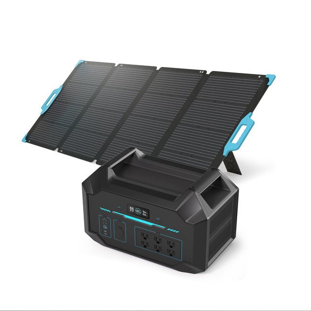 Renogy Portable Power Station 1000 + 1x E.FLEX 220W Solar Panel - Solar Generators and Power Stations Plus