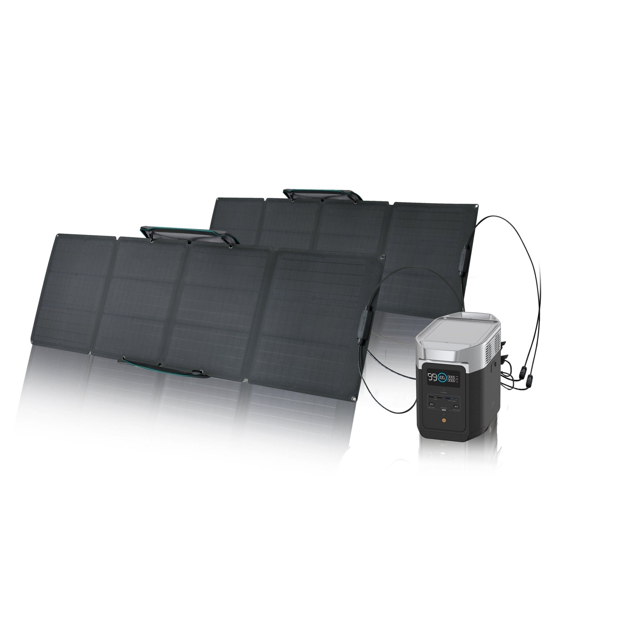 EcoFlow DELTA 2 Solar Generator + 2x 110W Portable Solar Panel - Solar Generators and Power Stations Plus